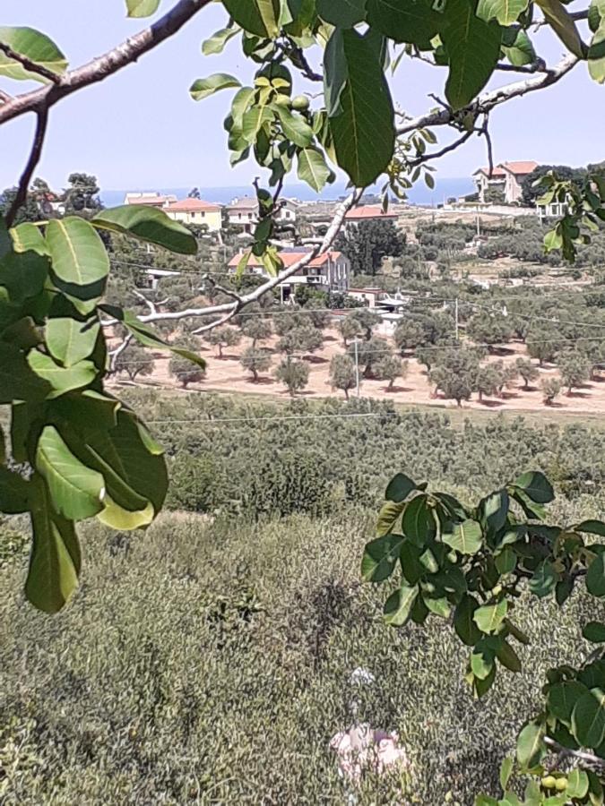 Il Giardino Degli Ulivi Villa Città Sant'Angelo Eksteriør billede