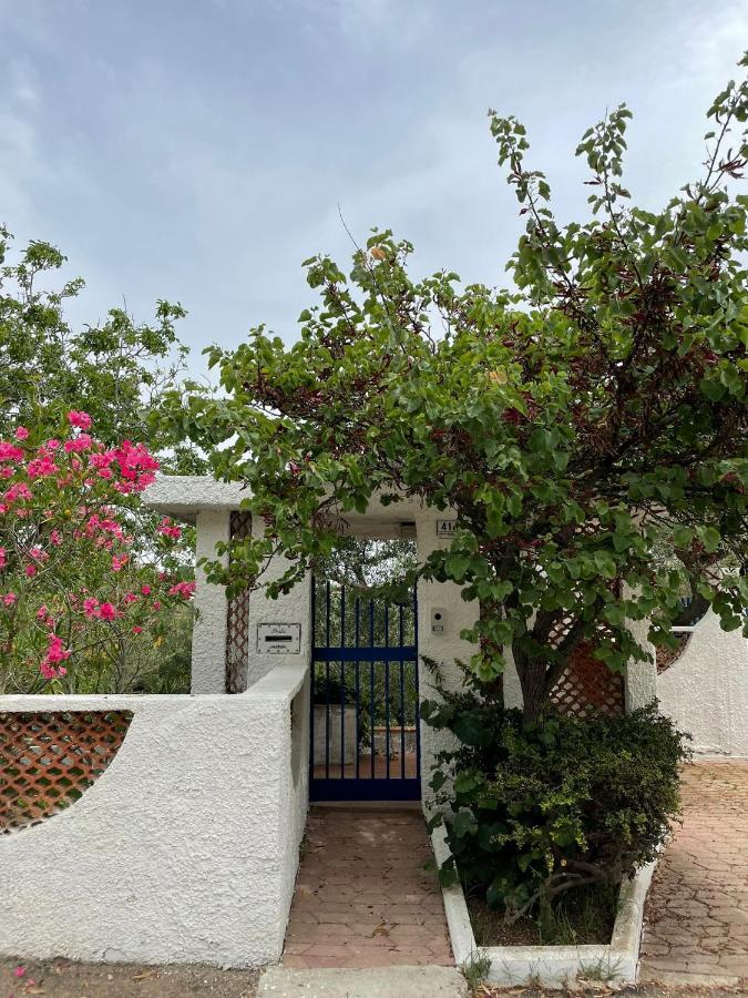 Il Giardino Degli Ulivi Villa Città Sant'Angelo Eksteriør billede