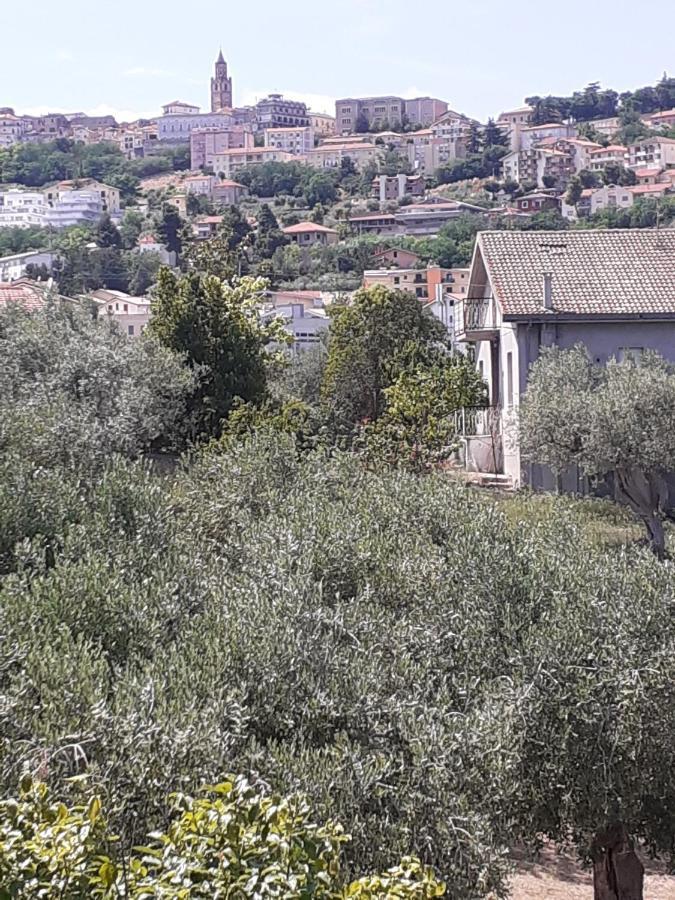 Il Giardino Degli Ulivi Villa Città Sant'Angelo Eksteriør billede